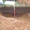 Archaeological evaluation, Trench 1, N facing section of pits [109] and [113], East Beechwood Farm, Highland