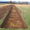 Archaeological evaluation, General trench shot, East Beechwood Farm, Highland