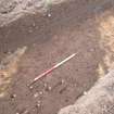 Archaeological evaluation, Trench 20, Linear ditch [2001], East Beechwood Farm, Highland