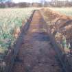 Archaeological evaluation, General trench shot, East Beechwood Farm, Highland