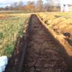 Archaeological evaluation, General trench shot, East Beechwood Farm, Highland