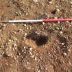 Archaeological excavation, Detail view, East Beechwood Farm, Highland