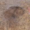 Archaeological excavation, Detail view, East Beechwood Farm, Highland