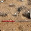 Archaeological excavation, General view, East Beechwood Farm, Highland