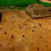 Archaeological excavation, Aerial view, East Beechwood Farm, Highland