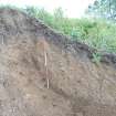 Archaeological evaluation, S facing section of embankment, A77 Pedstrian bridge (High Glengall), Corton, Ayr