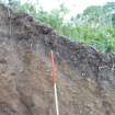 Archaeological evaluation, Topsoil on slope of embankment, A77 Pedstrian bridge (High Glengall), Corton, Ayr