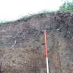 Archaeological evaluation, Topsoil at top of embankment, A77 Pedstrian bridge (High Glengall), Corton, Ayr