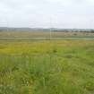 Archaeological evaluation, General views of NW area – pre-excavation, A77 Pedstrian bridge (High Glengall), Corton, Ayr