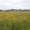 Archaeological evaluation, General views of SE area – pre-excavation, A77 Pedstrian bridge (High Glengall), Corton, Ayr