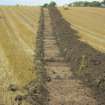 Archaeological evaluation, General view, Dean Park Tile Works, Mansfield Road, Balerno