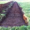 Archaeological evaluation, Post excavation trench 36, Townend Brae, Phase 2, Symington