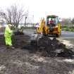 Watching brief, Tree root removal, working shots, Carpark, St Ninian's Way, Linlithgow