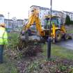 Watching brief, Removal of tree roots in centre of site, Carpark, St Ninian's Way, Linlithgow