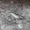 Watching brief, Views of test pit outside E entrance, McEwan Hall, Teviot Place, Edinburgh