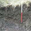 Evaluation Photograph, Trench 5. Post-excavation, facing S, Harvester's Way, Wester Hailes