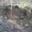 Evaluation Photograph, Trench 5. East-facing section, facing W, Harvester's Way, Wester Hailes