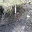 Evaluation Photograph, Trench 3. North-facing section, facing SE, Harvester's Way, Wester Hailes