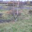 Evaluation Photograph, General. Panorama 2, facing N, Harvester's Way, Wester Hailes