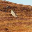 Standing stone, Maari. View from E. 