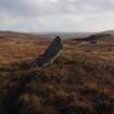 Standing stone, Maari. View from NW. 