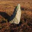 Standing stone, Maari. View from SW. 