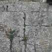 Historic building recording, Detail view, S elevation, E bank, Limekilns, Harbour Road, Charlestown