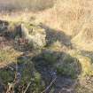 Historic building recording, General and detailed view of mounds and enclosure to the far E side of the kilnhead, Kilnhead, Limekilns, Harbour Road, Charlestown