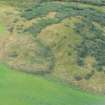 An oblique aerial view of Wester Rarichie, Tarbat Ness, looking N.