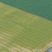 Oblique aerial view of possible henge in field at Kirkton (Baddan) near Golspie, East Sutherland, looking SW.