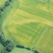 Aerial view of Tarradale Enclosure/Fort cropmarks, Beauly Firth, looking S.
