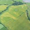 Aerial view of Tarradale Enclosure/Fort cropmarks, Beauly Firth, looking SE.