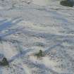 Aerial view of Strath Sgitheach hut circle settlement, near Dingwall, Easter Ross, looking NW.