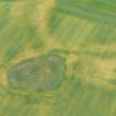 Aerial view of enclosure, ring ditch & barrow cemetery, Tarradale, on N shore of Beauly Firth, looking  SW.