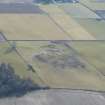 Aerial view of Ryefield, Mulchaich settlement on the Black Isle, looking SE.