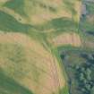 Aerial view of Gilchrist possible promontory Fort cropmark, Muir of Ord, Black Isle, looking SW.