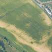 Aerial view of Balvattie/Gilchrist, Tarradale cropmark features, Muir of Ord, Black Isle, looking E.