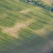 Aerial view of Tarradale cropmarks, Muir of Ord, Black Isle, looking NE.