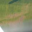 Aerial view of Tarradale holloway cropmark, Muir of Ord, Black Isle, looking W.