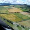 Aerial view of cropmarks S of Golspie, East Sutherland, looking ENE.