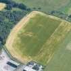 Near aerial view of enclosure cropmarks in field near Windhill, Muir of Ord, Black Isle, looking SE.