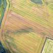Aerial view of cropmarks in NW section of field containing barrow cemetery at Tarradale on the north shore of the Beauly Firth.