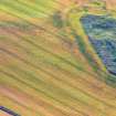 Close near aerial view of the central unploughed area of the field containing cropmarks of the Pictish cemetery at Tarradale  on the north shore of the Beauly Firth.