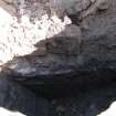 Evaluation Photograph, Test Pit 3 S facing section showing wall 006, facing N, 8-20 King's Stables Road, Edinburgh