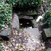 Investigator's image of St Baldred's Well taken from NW.