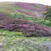 Natural mounds, Little Reds Cleugh
