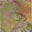 Product: orthomosaic (georeferenced composite image), Dunmore fort.