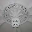 Evaluation Photograph, Room 4- view of plaster ceiling rose in centre of room, facing SE, Old Coates House