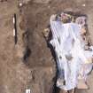 Archaeological excavation, Skeleton 112, Auldhame, East Lothian