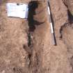 Archaeological excavation, [116]: general with board etc., Auldhame, East Lothian